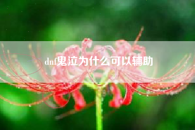 dnf鬼泣为什么可以辅助