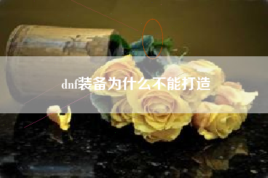 dnf装备为什么不能打造