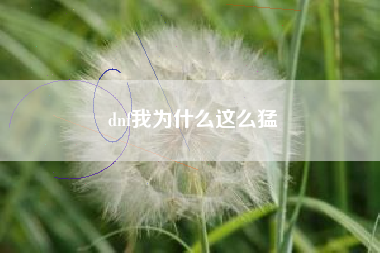 dnf我为什么这么猛