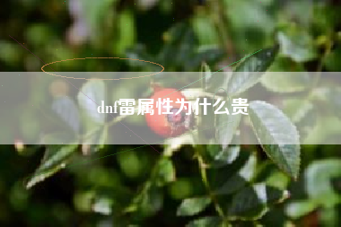 dnf雷属性为什么贵