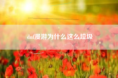 dnf漫游为什么这么垃圾