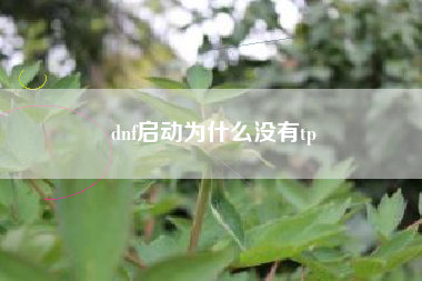 dnf启动为什么没有tp