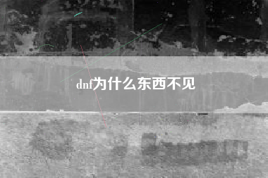 dnf为什么东西不见