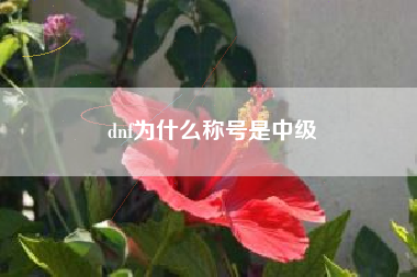 dnf为什么称号是中级