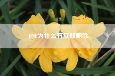 DNF为什么有立即删除