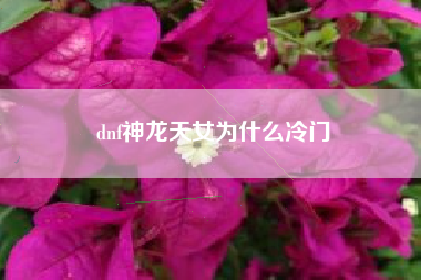 dnf神龙天女为什么冷门