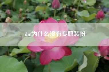 dnf为什么没有专职装扮