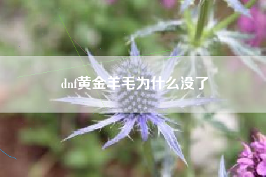 dnf黄金羊毛为什么没了