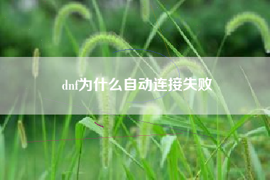 dnf为什么自动连接失败