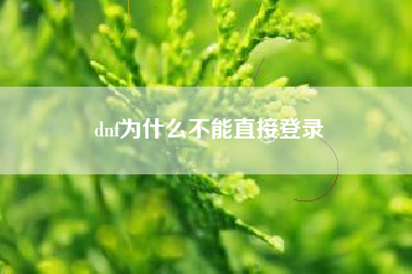 dnf为什么不能直接登录