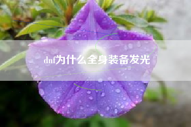 dnf为什么全身装备发光