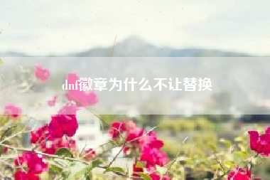 dnf徽章为什么不让替换