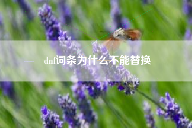 dnf词条为什么不能替换