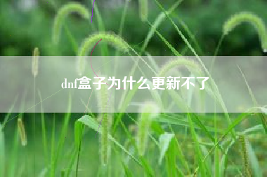 dnf盒子为什么更新不了