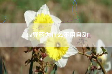 dnf弹药为什么不用自动