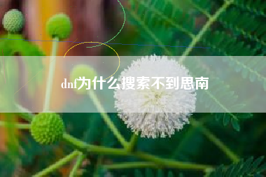 dnf为什么搜索不到思南