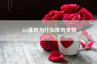 dnf金秋为什么没有宠物