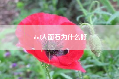 dnf人面石为什么好