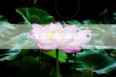 dnf鬼泣为什么这么冷门