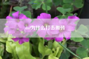 dnf为什么打击搬砖