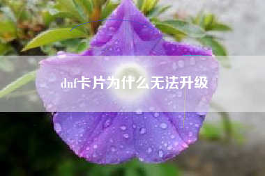 dnf卡片为什么无法升级