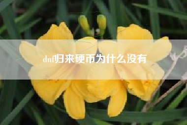 dnf归来硬币为什么没有