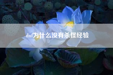 dnf为什么没有杀怪经验