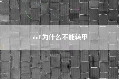 dnf 为什么不能转甲