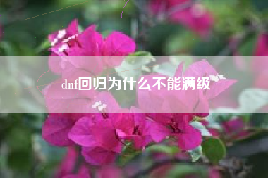 dnf回归为什么不能满级