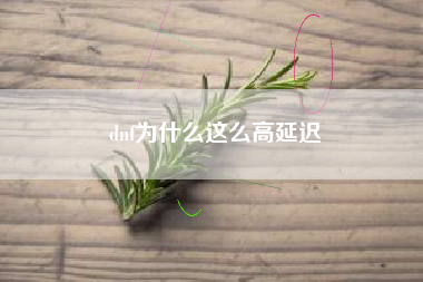 dnf为什么这么高延迟