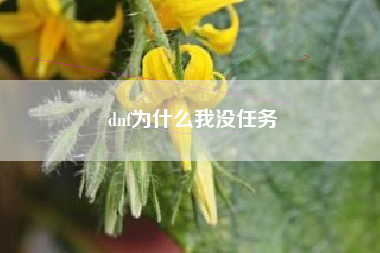 dnf为什么我没任务