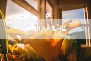 dnf为什么不能开挂