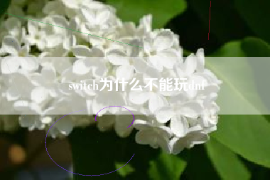 switch为什么不能玩dnf