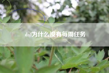 dnf为什么没有每周任务