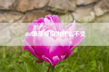 dnf嫩芽身份为什么不变