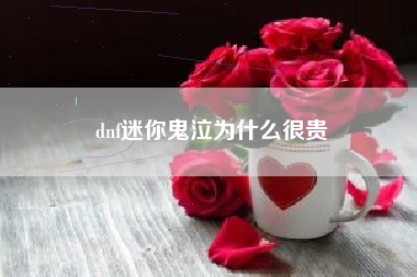 dnf迷你鬼泣为什么很贵