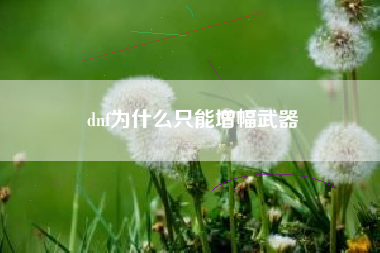 dnf为什么只能增幅武器