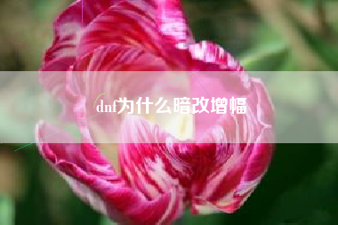 dnf为什么暗改增幅