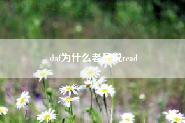 dnf为什么老是说read