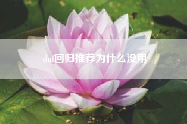 dnf回归推荐为什么没用