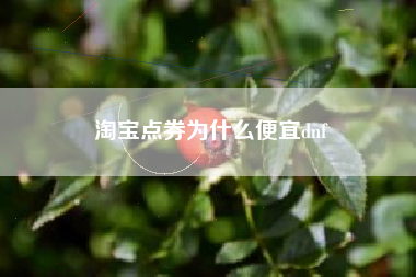 淘宝点券为什么便宜dnf