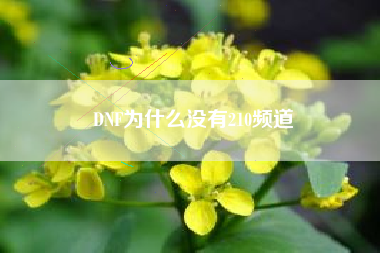 DNF为什么没有210频道