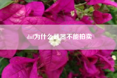 dnf为什么武器不能拍卖