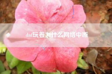 dnf玩着为什么网络中断