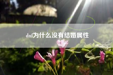 dnf为什么没有结婚属性