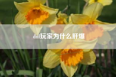 dnf玩家为什么肝爆