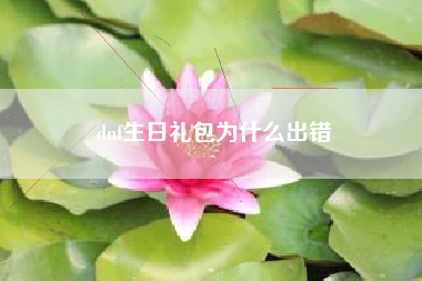 dnf生日礼包为什么出错