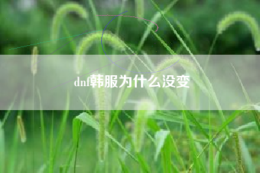 dnf韩服为什么没变