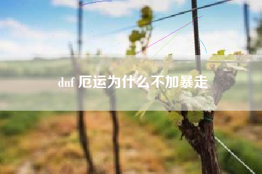 dnf 厄运为什么不加暴走