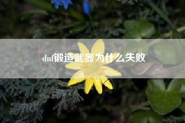 dnf锻造武器为什么失败